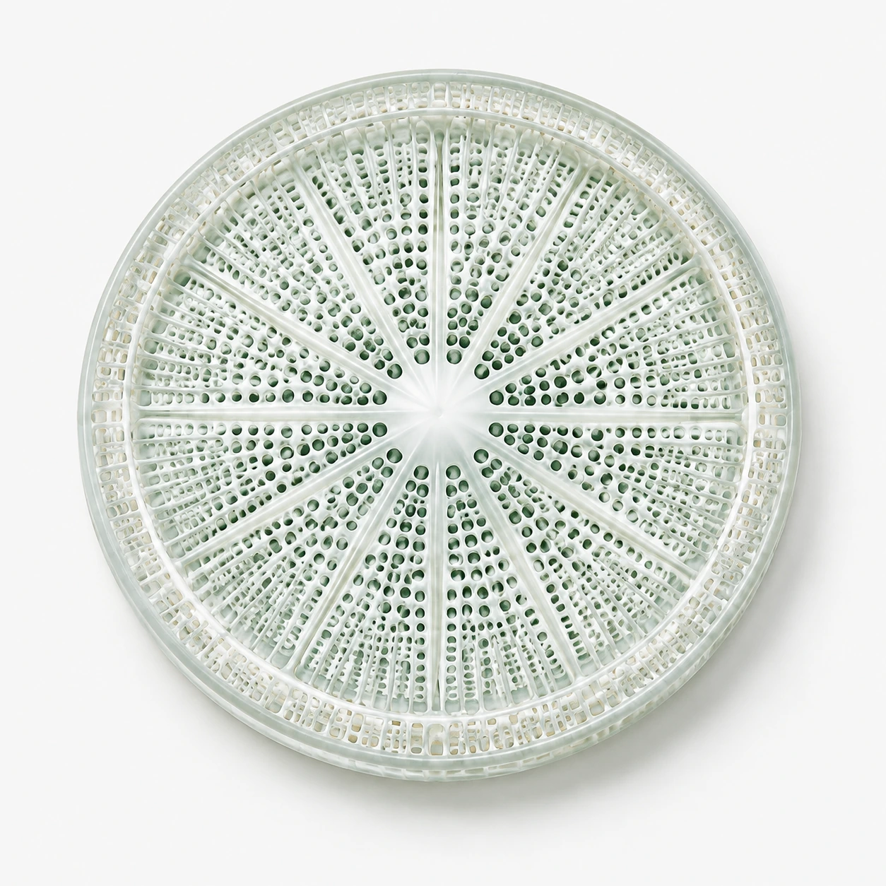 Diatom structure