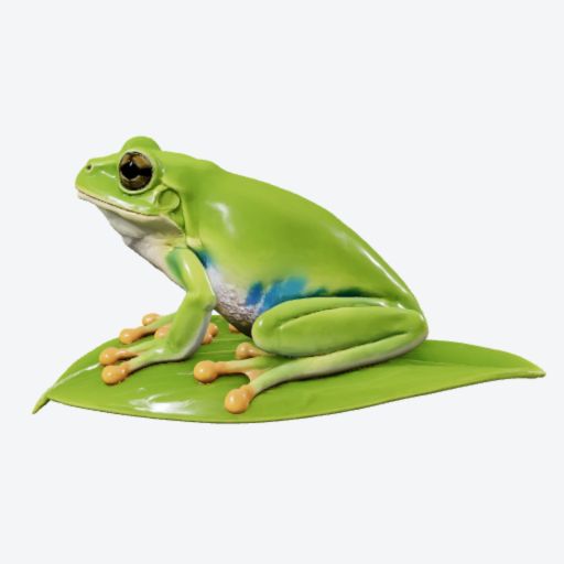 Tree frog
